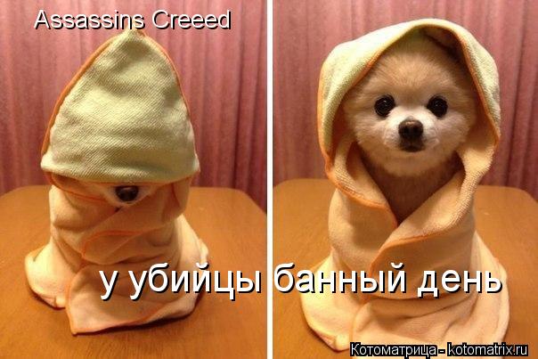 Котоматрица: Assassins Creeed у убийцы банный день