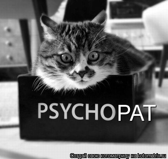 Котоматрица: РАТ