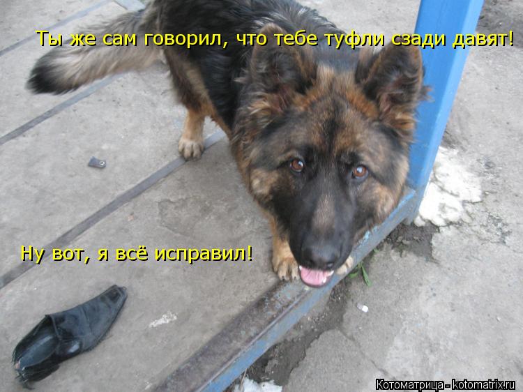 Ты же сам говорил, что тебе туфли сзади давят! Ну вот, я всё исправил!... Котоматрица: Ты же сам говорил, что тебе туфли сзади давят! Ну вот, я всё исправил!