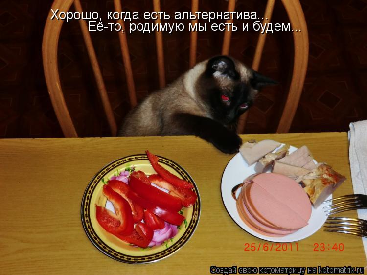 Хорошо, когда есть альтернатива... Её-то, родимую мы есть и будем...... Котоматрица: Хорошо, когда есть альтернатива... Её-то, родимую мы есть и будем...