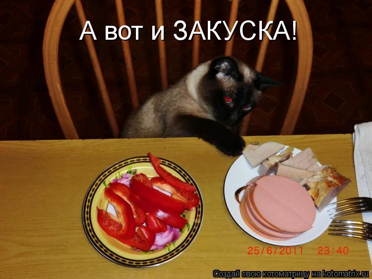 А вот и ЗАКУСКА!... Котоматрица: А вот и ЗАКУСКА!