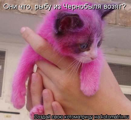 Котоматрица: Они что, рыбу из Чернобыля возят?