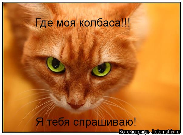 Котоматрица: Где моя колбаса!!! Я тебя спрашиваю!