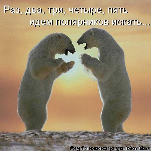 Котоматрица: Раз, два, три, четыре, пять  идем полярников искать...