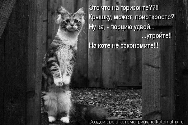 Котоматрица: Это что на горизонте??!! Крышку, может, приоткроете?! Ну ка, - порцию удвой...  ...утройте!! На коте не сэкономите!!!