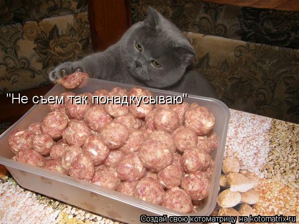 Котоматрица: "Не съем так понадкусываю"