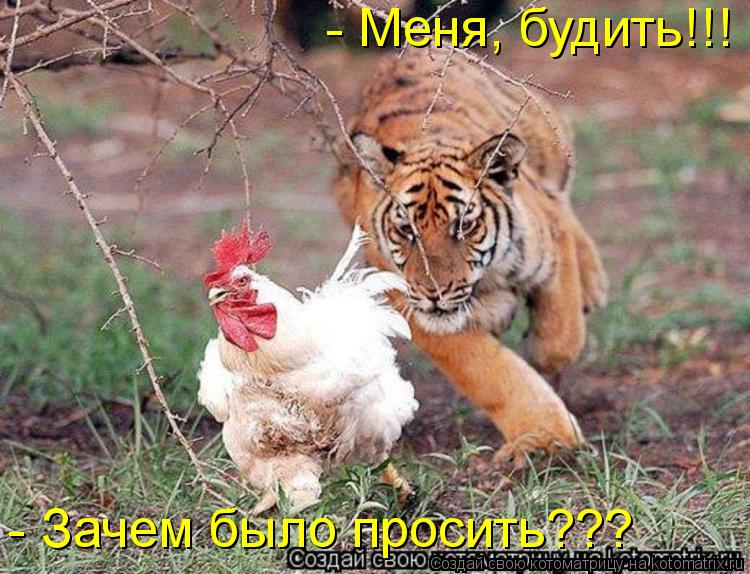 Котоматрица: - Меня, будить!!! - Зачем было просить???