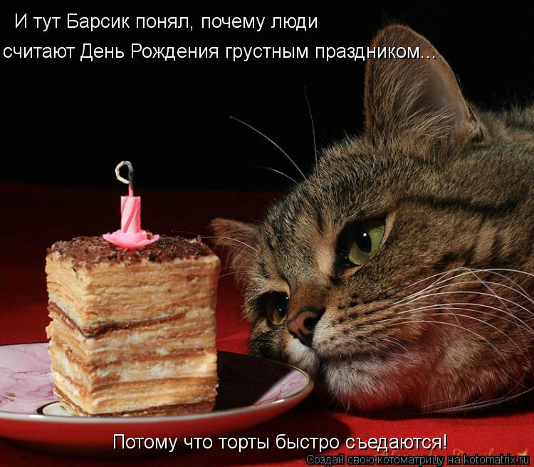 Котоматрица: И тут Барсик понял, почему люди считают День Рождения грустным праздником... Потому что торты быстро съедаются!