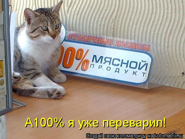 Котоматрица: А100% я уже переварил!