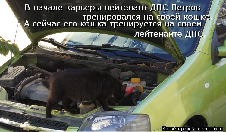 Котоматрица: тренировался на своей кошке. В начале карьеры лейтенант ДПС Петров  лейтенанте ДПС. А сейчас его кошка тренируется на своем