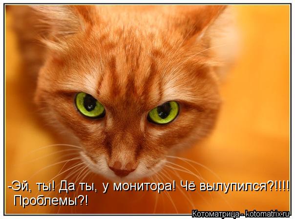 Котоматрица: -Эй, ты! Да ты, у монитора! Чё вылупился?!!!! Проблемы?!