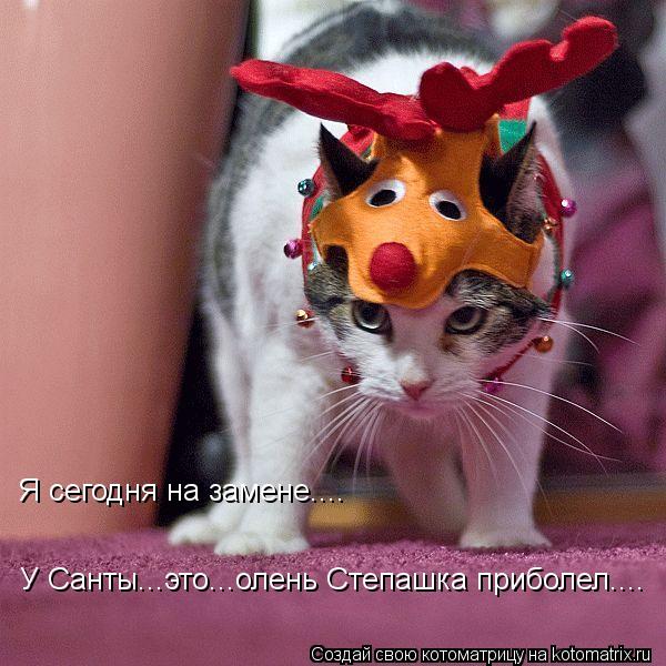 Котоматрица: Я сегодня на замене.... У Санты...это...олень Степашка приболел....