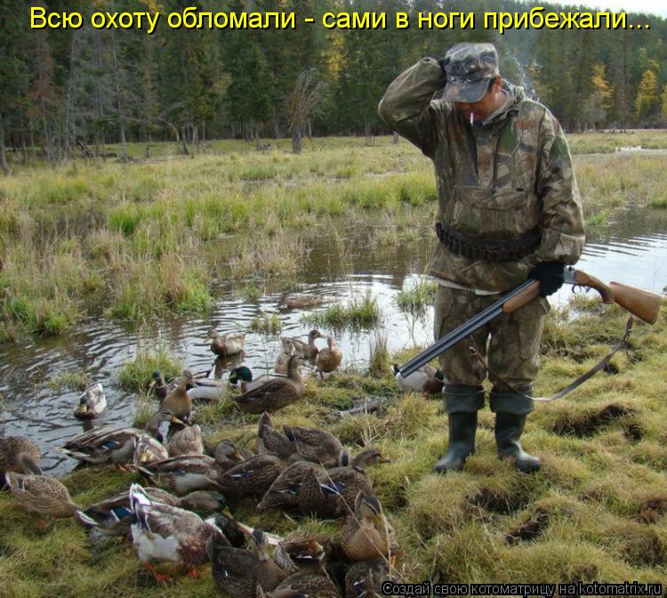 Котоматрица: Всю охоту обломали - сами в ноги прибежали...