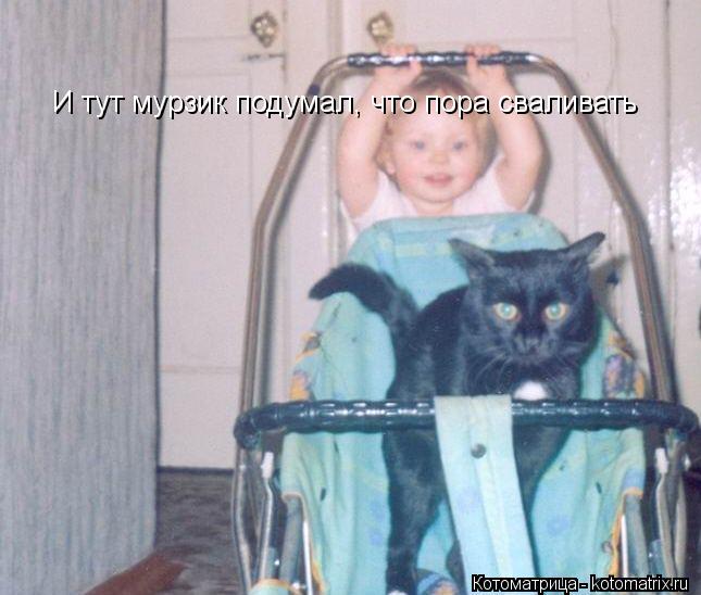 Котоматрица: И тут мурзик подумал, что пора сваливать