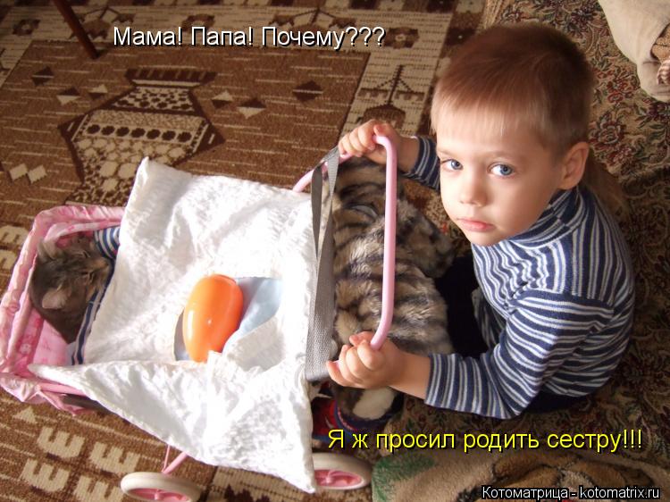 Котоматрица: Мама! Папа! Почему??? Я ж просил родить сестру!!!