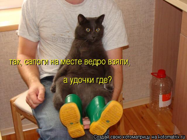 Котоматрица: так, сапоги на месте ведро взяли, а удочки где?