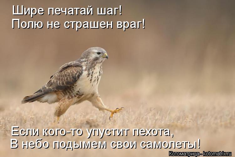Котоматрица: Шире печатай шаг!  Полю не страшен враг! Если кого-то упустит пехота, В небо подымем свои самолеты!