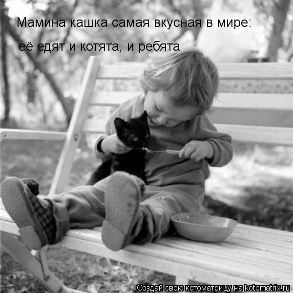 Котоматрица: Мамина кашка самая вкусная в мире:  её едят и котята, и ребята