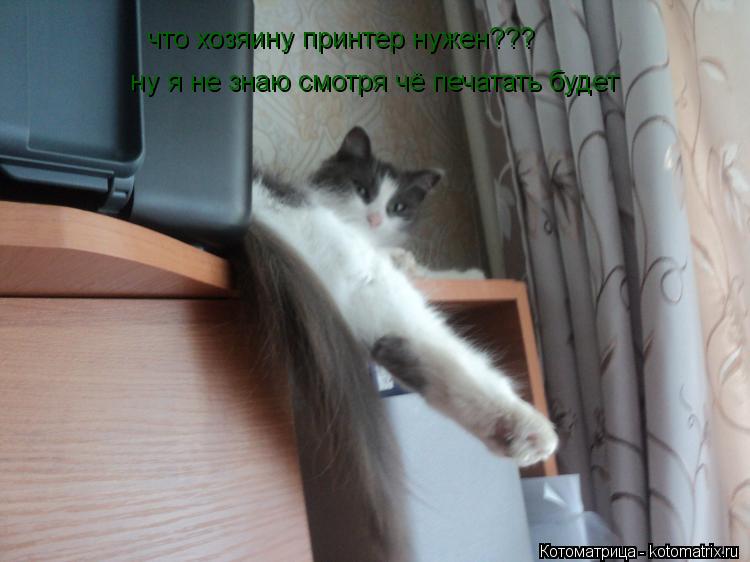 Котоматрица: что хозяину принтер нужен??? ну я не знаю смотря чё печатать будет