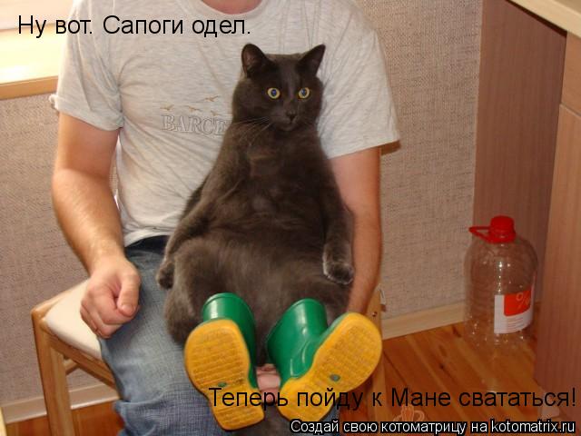 Котоматрица: Ну вот. Сапоги одел.  Теперь пойду к Мане свататься!