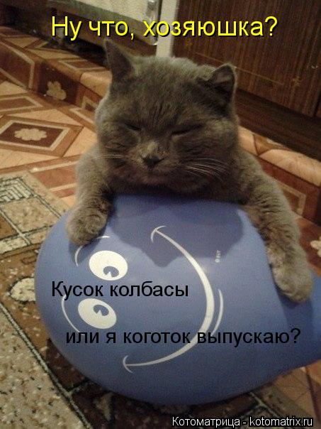 Котоматрица: Ну что, хозяюшка?  Кусок колбасы  или я коготок выпускаю?