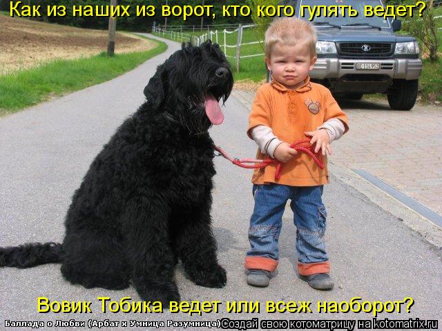 Котоматрица: Как из наших из ворот, кто кого гулять ведет? Вовик Тобика ведет или всеж наоборот?