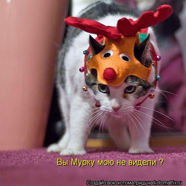 Котоматрица: Вы Мурку мою не видели ?