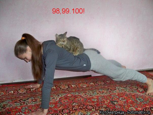 Котоматрица: 98,99.100!