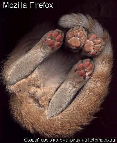 Котоматрица: Mozilla Firefox
