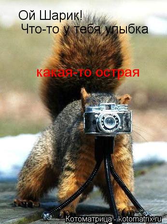 Котоматрица: Ой Шарик!  Что-то у тебя улыбка какая-то острая