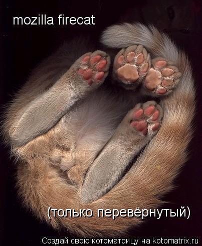 Котоматрица: mozilla firecat (только перевёрнутый)