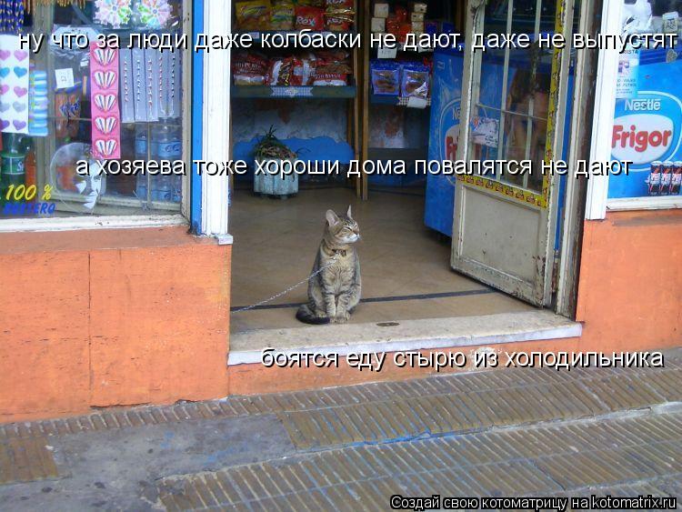 Котоматрица: ну что за люди даже колбаски не дают, даже не выпустят а хозяева тоже хороши дома повалятся не дают  боятся еду стырю из холодильника