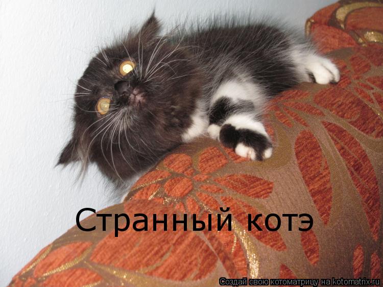 Котоматрица: Странный котэ