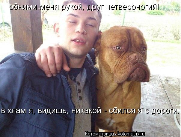 Котоматрица: обними меня рукой, друг четвероногий! в хлам я, видишь, никакой - сбился я с дороги...