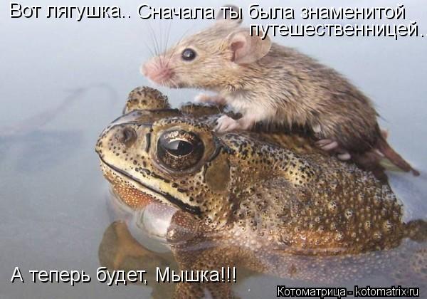 Котоматрица: Вот лягушка..  Сначала ты была знаменитой путешественницей .... А теперь будет, Мышка!!!