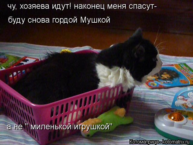 Котоматрица: чу, хозяева идут! наконец меня спасут-  буду снова гордой Мушкой  а не " миленькой игрушкой"