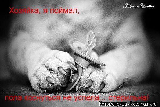 Котоматрица: Хозяйка, я поймал, пола коснуться не успела... стерильна Хозяйка, я поймал,  пола коснуться не успела... стерильна!