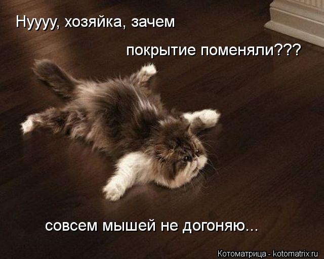 Котоматрица: Нуууу, хозяйка, зачем  покрытие поменяли??? совсем мышей не догоняю...