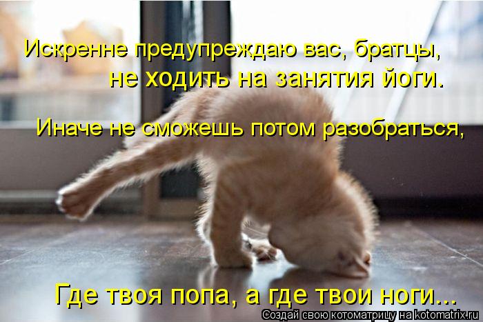 Котоматрица: Иначе не сможешь потом разобраться,  Искренне предупреждаю вас, братцы,  не ходить на занятия йоги. Где твоя попа, а где твои ноги...