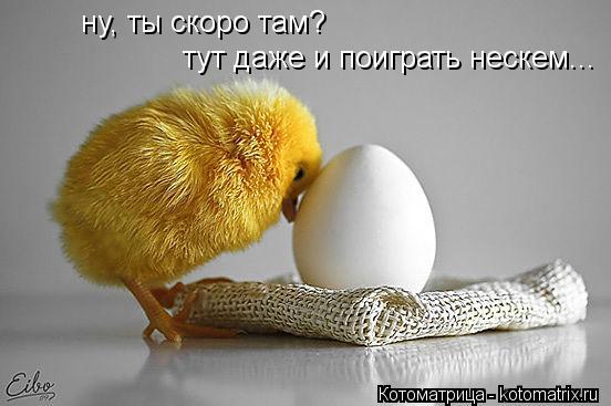 Котоматрица: тут даже и поиграть нескем... ну, ты скоро там?