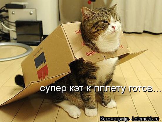Котоматрица: супер кэт к пплету готов...