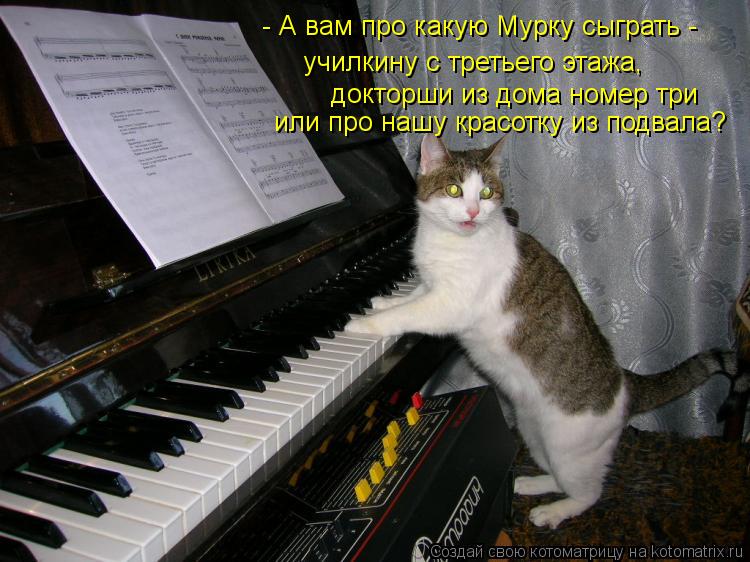 - А вам про какую Мурку сыграть - училкину с третьего этажа, докторши из дома номер три или про наш... Котоматрица: - А вам про какую Мурку сыграть - училкину с третьего этажа, докторши из дома номер три или про нашу красотку из подвала?