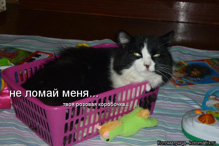 Котоматрица: не ломай меня...  твоя розовая коробочка...