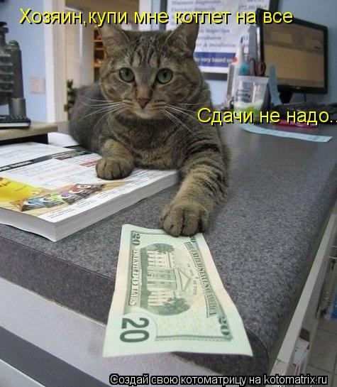 Котоматрица: Хозяин,купи мне котлет на все Сдачи не надо..
