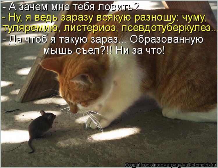 - А зачем мне тебя ловить? - Ну, я ведь заразу всякую разношу: чуму, туляремию, листериоз, псевдотубе... Котоматрица: - А зачем мне тебя ловить? - Ну, я ведь заразу всякую разношу: чуму, туляремию, листериоз, псевдотуберкулез... - Да чтоб я такую зараз... Образова