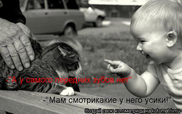 Котоматрица: -"Мам смотрикакие у него усики!" -"А у самого передних зубов нет"