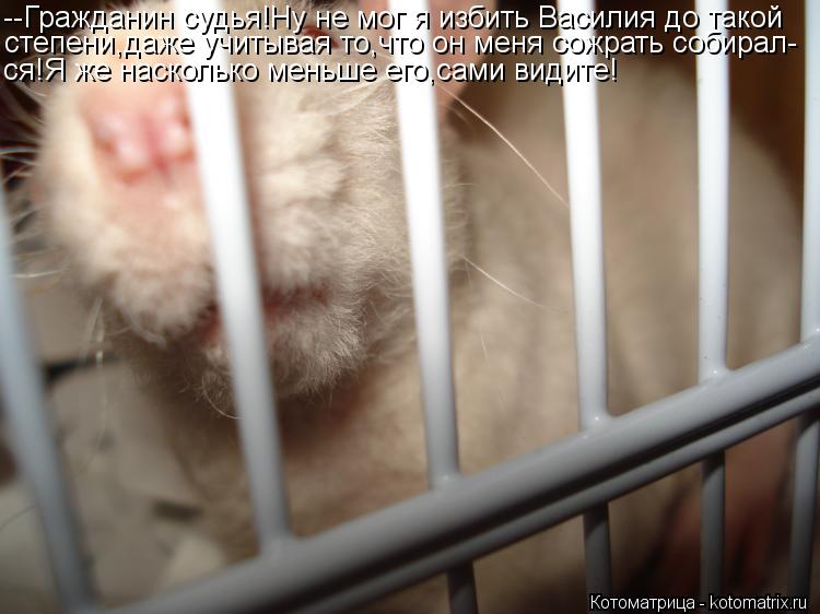 Котоматрица: --Гражданин судья!Ну не мог я избить Василия до такой степени,даже учитывая то,что он меня сожрать собирал- ся!Я же насколько меньше его,сами 