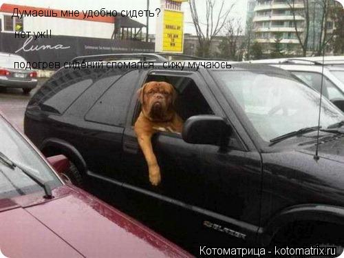 Котоматрица: Думаешь мне удобно сидеть? нет уж!! подогрев сидений сломался.. сижу мучаюсь.