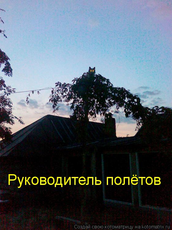 Руководитель полётов... Котоматрица: Руководитель полётов