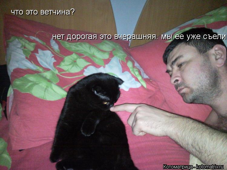 Котоматрица: что это ветчина? нет дорогая это вчерашняя. мы ее уже съели